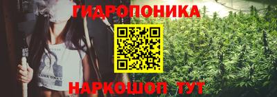ГАЛЛЮЦИНОГЕННЫЕ ГРИБЫ Заволжье