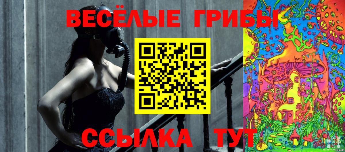 Малоярославец  Галлюциногенные грибы мицелий  Вход с VPN 
