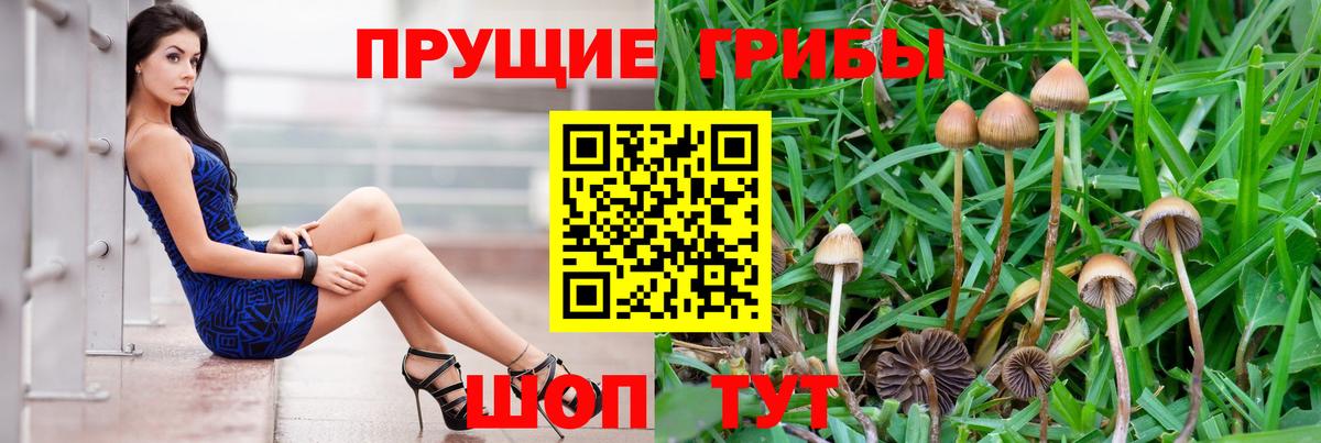 Псилоцибиновые грибы прущие грибы Малоярославец
